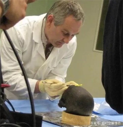 来自于2600年前的“活大脑”，是怎样活到现在的？