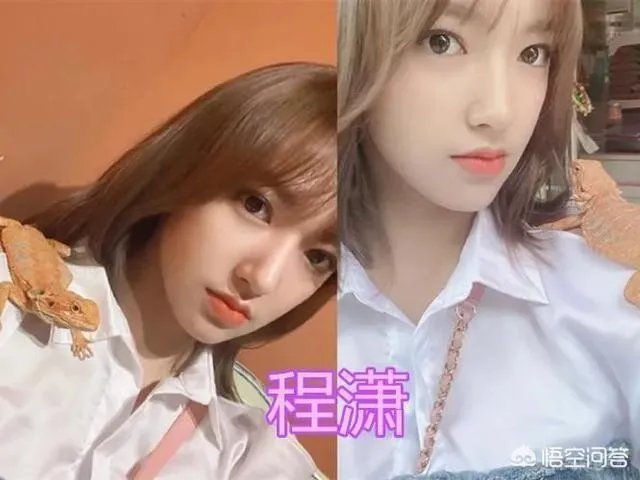 你知道哪些明星，在家养有什么样的宠物呢？