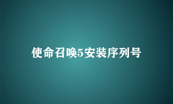 使命召唤5安装序列号