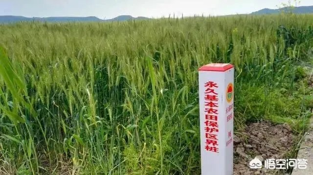 在自己家的耕地上建了一个养殖场，现在说属于违建要拆，该怎么办啊？