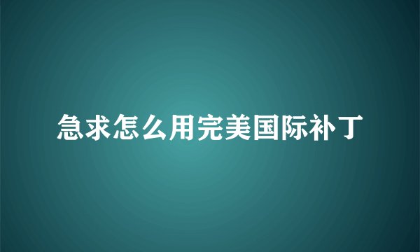 急求怎么用完美国际补丁