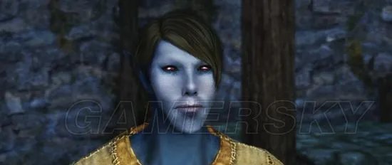 《上古卷轴5》Racemenu捏脸及制作独立美化随从教程