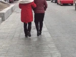 有没有让人笑得停不下来的图片或笑话或视频，可以分享一下吗？