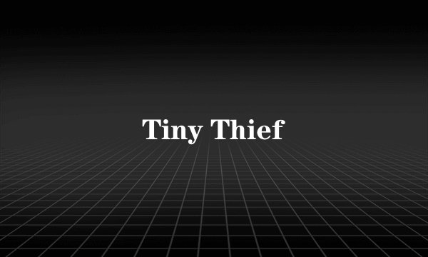 Tiny Thief