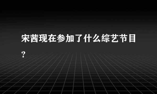 宋茜现在参加了什么综艺节目？