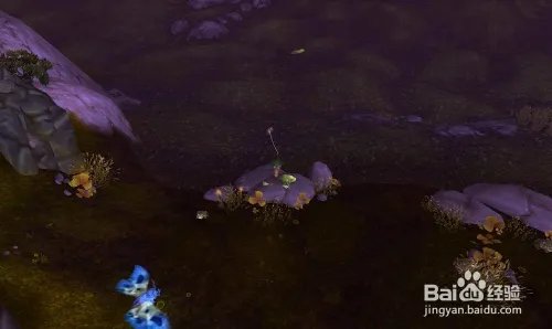 黑水鞭尾鱼在哪里/黑水鞭尾鱼鱼卵怎么获得