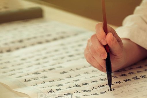 有关团结合作的词语有？