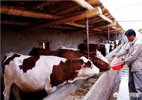 在自己家的耕地上建了一个养殖场，现在说属于违建要拆，该怎么办啊？