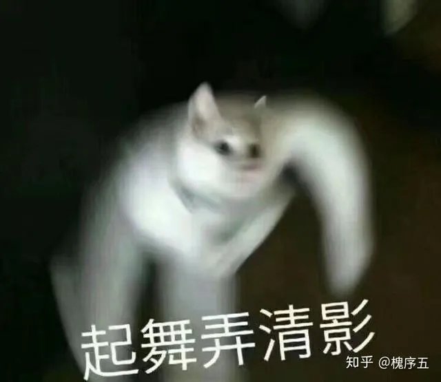 有没有让人笑得停不下来的图片或笑话或视频，可以分享一下吗？