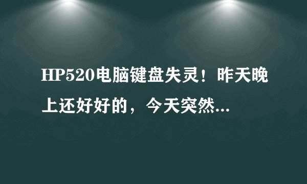 HP520电脑键盘失灵！昨天晚上还好好的，今天突然不行了，重启过，重插过，电源正常