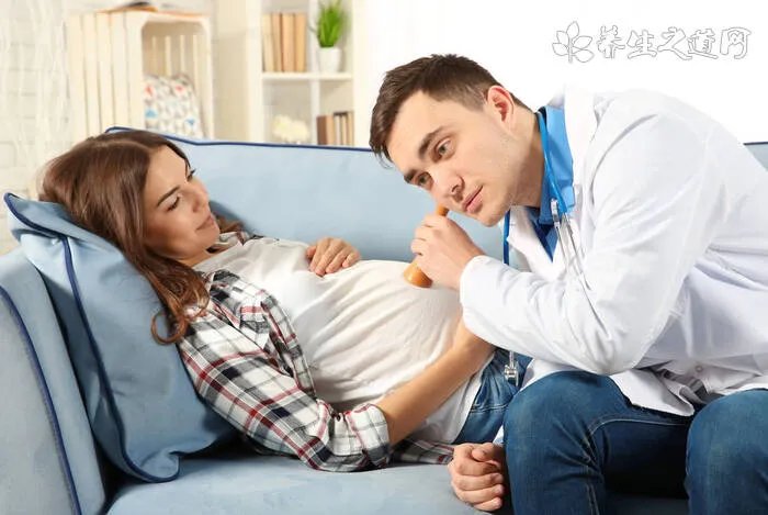 狗能吃香蕉皮吗