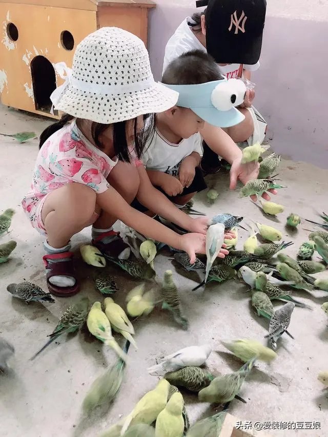 太原哪些地方适合带孩子去玩？