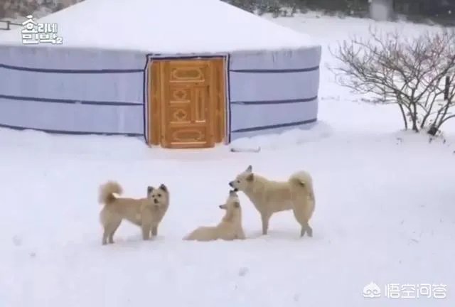 为什么李孝利炫富不招人讨厌？