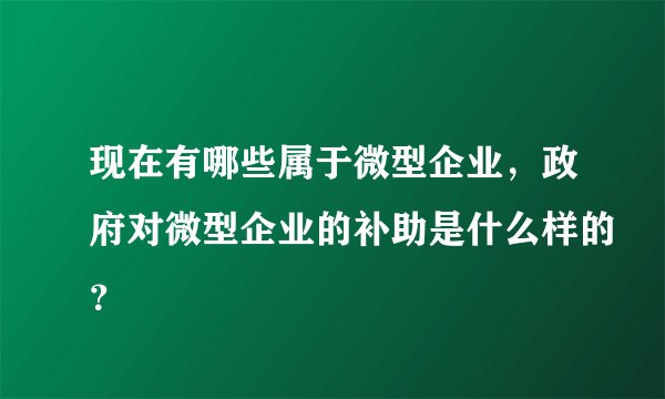 现在有哪些属于微型企业，政府对微型企业的补助是什么样的？