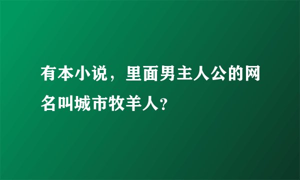 有本小说，里面男主人公的网名叫城市牧羊人？