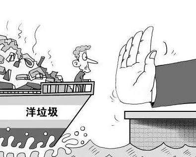 海关什么时候开始打击洋垃圾走私专项行动？