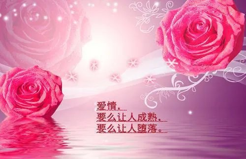 叶浅墨夙渊小说 叶浅墨夙渊免费阅读