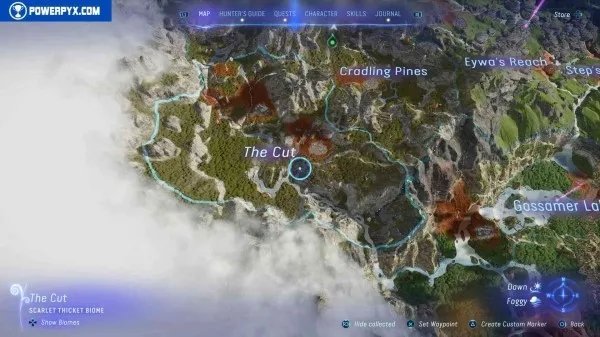 《阿凡达潘多拉边境》塔休幼苗位置汇总 塔休幼苗收集攻略