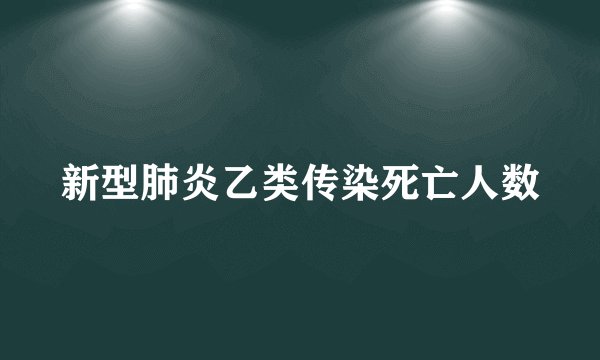 新型肺炎乙类传染死亡人数