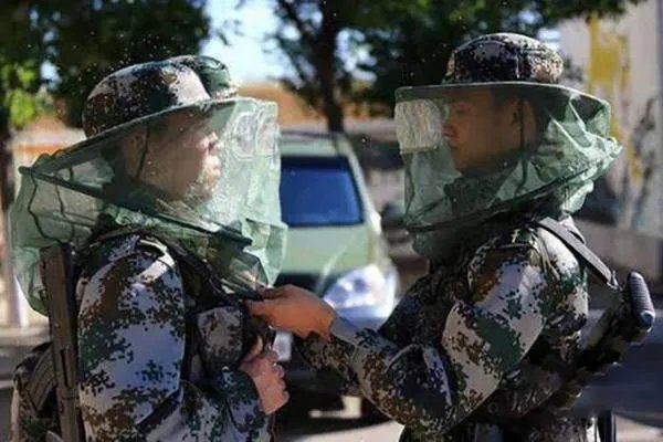 蚊虫王国巡逻兵 世界四大蚊虫王国是哪几个