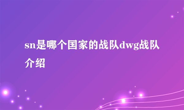 sn是哪个国家的战队dwg战队介绍