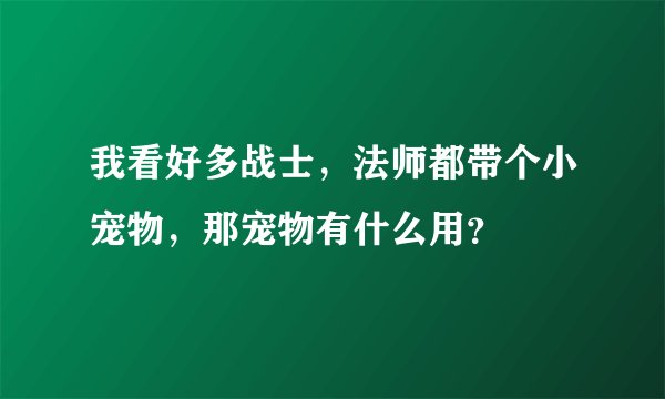我看好多战士，法师都带个小宠物，那宠物有什么用？