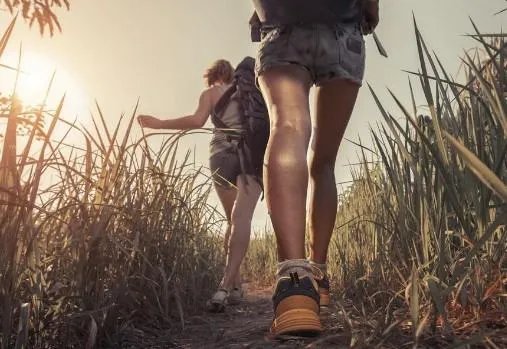 登山鞋和徒步鞋有什么专业方面的区别?