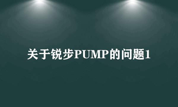 关于锐步PUMP的问题1