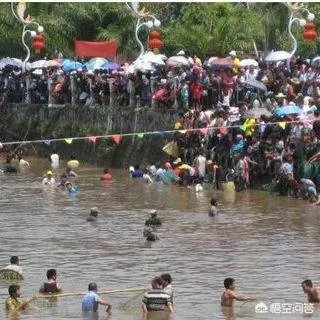 云南神鱼节投放的鱼是政府采购的吗？