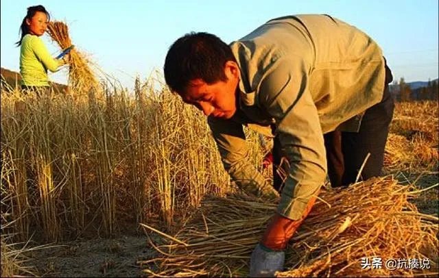 今年应届生求职最火的行业是什么？