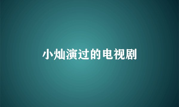 小灿演过的电视剧