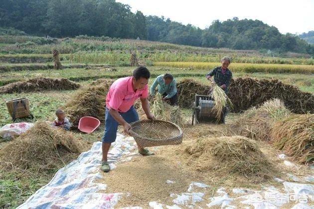 为什么有人说觉得小时候时间过得很慢，而成年后时间一会就过去？
