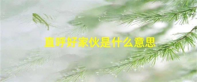 直呼好家伙是什么意思
