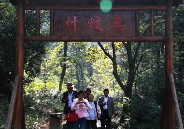 如何看待现在整治不规范地名的热潮？