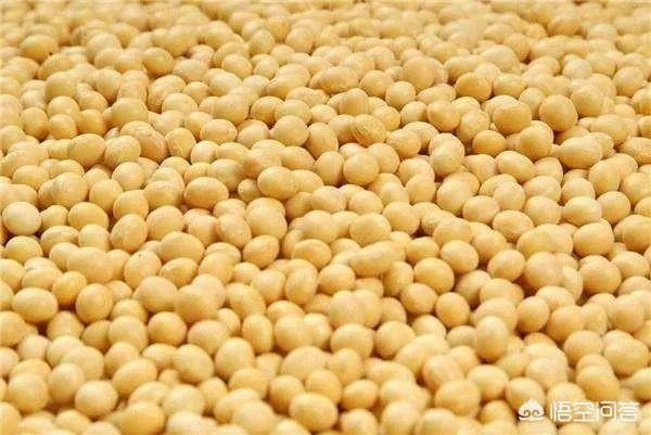 进口大豆多少钱一吨