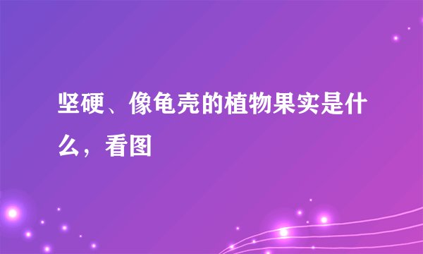 坚硬、像龟壳的植物果实是什么，看图