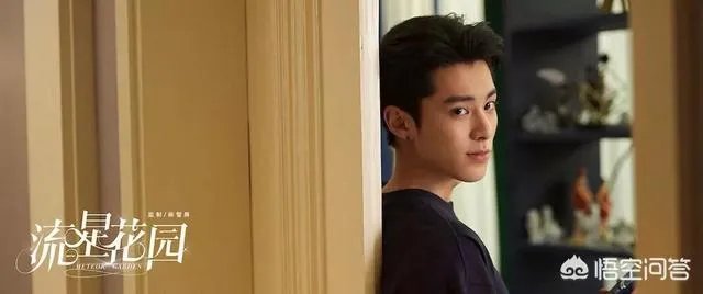 如何评价《新流星花园》里饰演道明寺的王鹤棣？