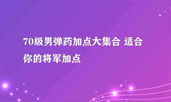 70级男弹药加点大集合 适合你的将军加点