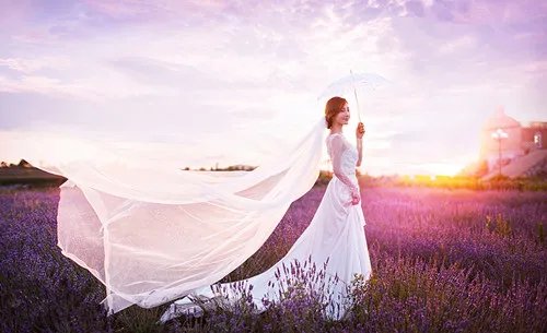 花海婚纱照拍摄攻略 拍摄花海婚纱照注意事项