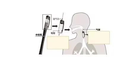 为什么笔盖上的孔又叫“救命孔”？