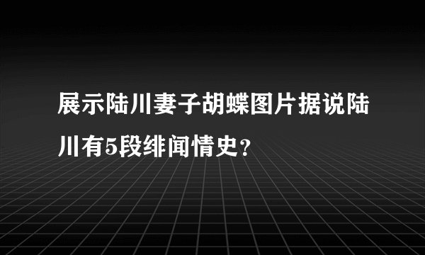 展示陆川妻子胡蝶图片据说陆川有5段绯闻情史？
