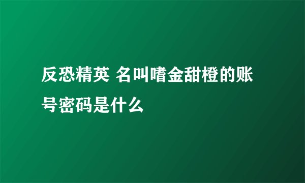 反恐精英 名叫嗜金甜橙的账号密码是什么