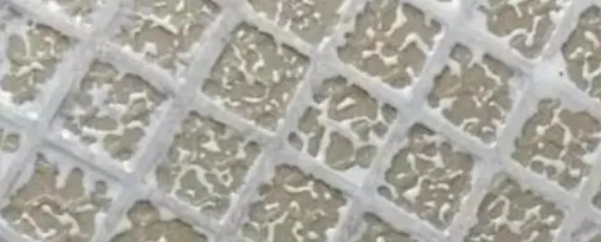 滚涂背胶前，还敢这样吗？