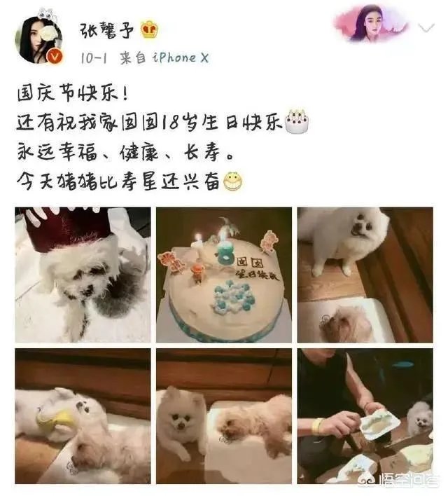 你知道哪些明星，在家养有什么样的宠物呢？