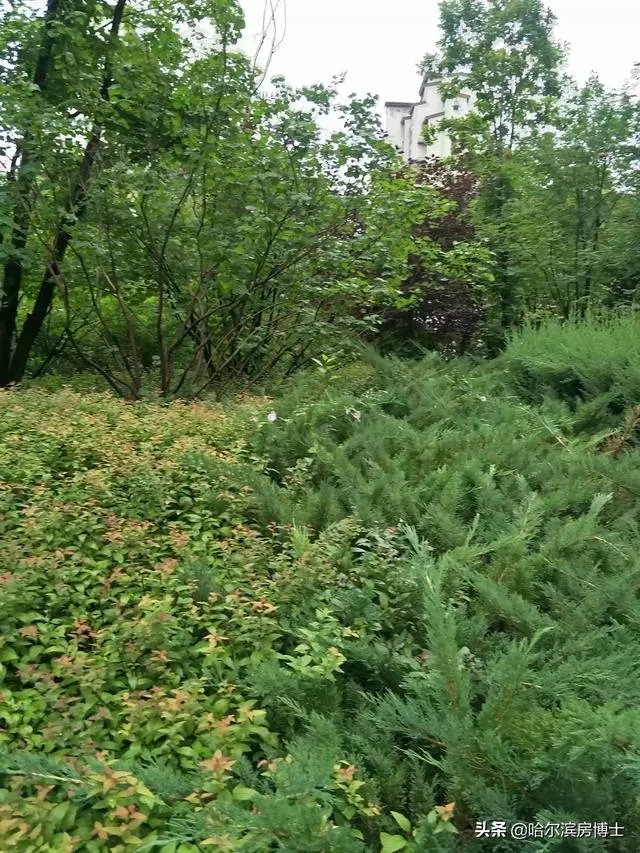 二手房跟毛坯房哪个更便宜