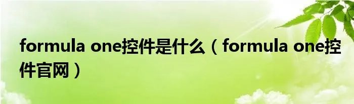 formula one控件是什么（formula one控件官网）