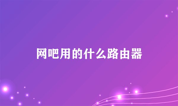 网吧用的什么路由器