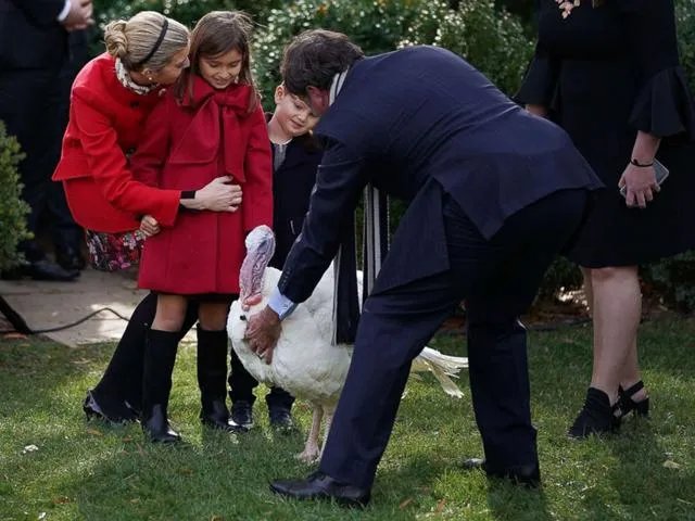 美国人如何庆祝感恩节？一定要吃火鸡吗？