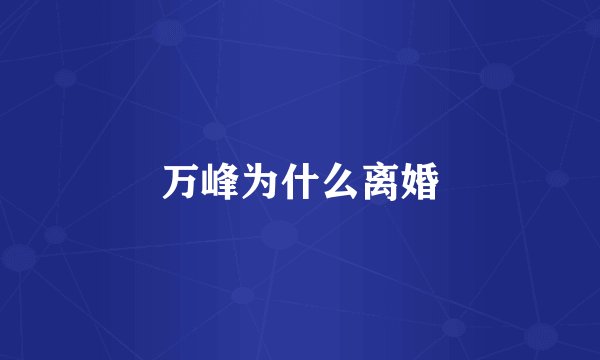 万峰为什么离婚