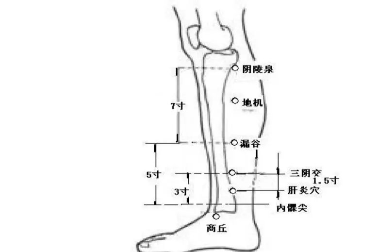 肝炎点的准确位置图片